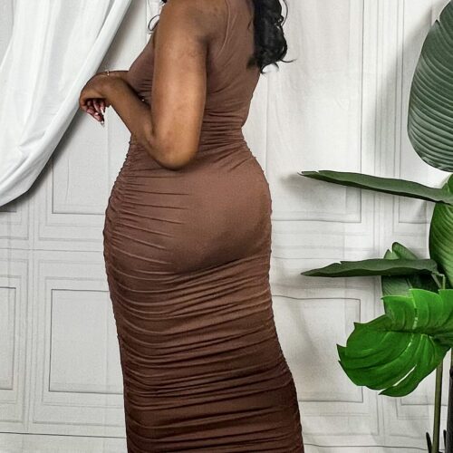 back side image of woman in brown ruched long maxi dress